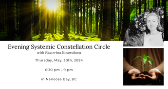 Evening Systemic Constellations Circle