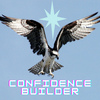 Confidence Builder