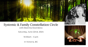 One Day Systemic Constellations Circle