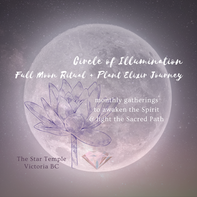 Circle of Illumination :: Full Moon Ritual + Plant Elixir Journey