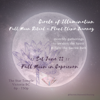 June Circle of Illumination :: Full Moon Ritual + Plant Elixir Journey