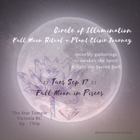 Sept Circle of Illumination :: Full Moon Ritual + Plant Elixir Journey