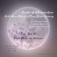 December Circle of Illumination :: Full Moon Ritual + Plant Elixir Journey