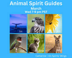 FREE Animal Spirit Connections