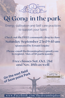 Qi Gong in the Park