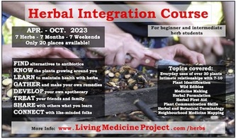 The Herbal Integration Course