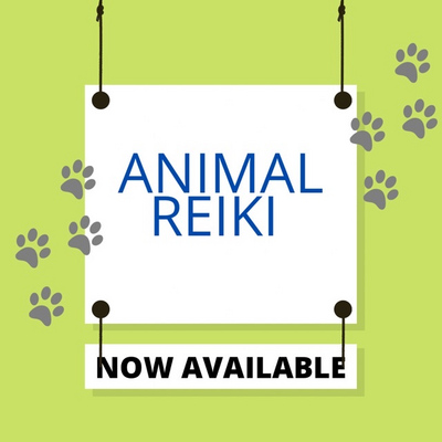 Animal Healing & Reiki