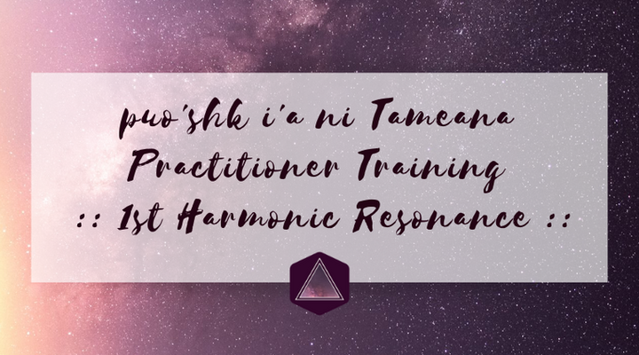 Sacred Heart Tameana :: Practitioner Training :: 1st Harmonic Resonance