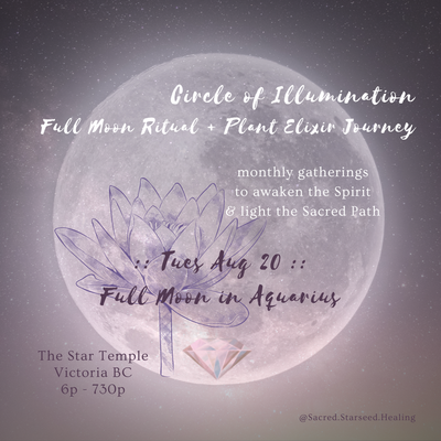 August Circle of Illumination :: Full Moon Ritual + Plant Elixir Journey
