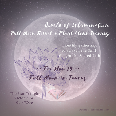 November Circle of Illumination :: Full Moon Ritual + Plant Elixir Journey