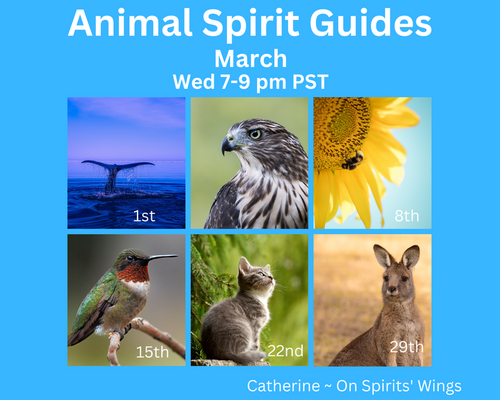 FREE Animal Spirit Guide Messages