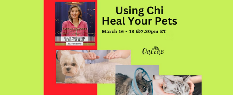 Online :: Learn how to Use CHI to Heal your Pets! 3-day Course