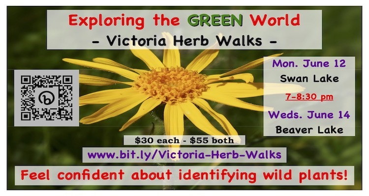 Exploring the GREEN World  ~ Victoria Herb Walks ~