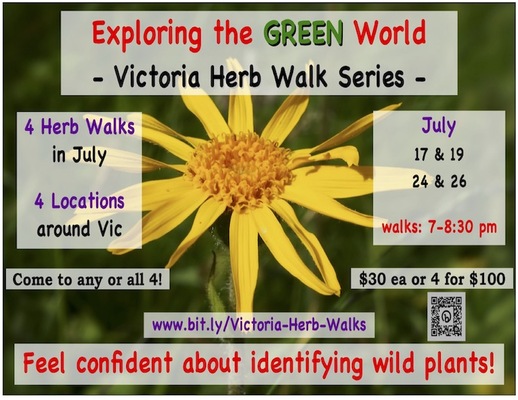 Exploring the GREEN World  ~ Victoria Herb Walks ~